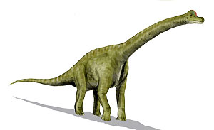 Brachiozaur (rys. ArthurWeasley / wikimedia)