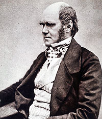 Karol Darwin (fot.: wikimedia)