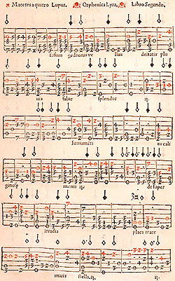 Pochodz�ca z po�owy XVI w. tabulatura na vilhuel� (fot. wikimedia)