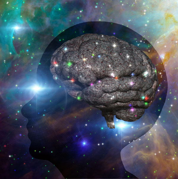 fot. fotolia fot. fotolia