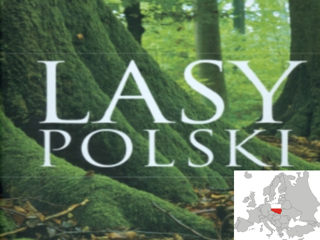 Prezentacja: Lasy Polski - edukator.pl