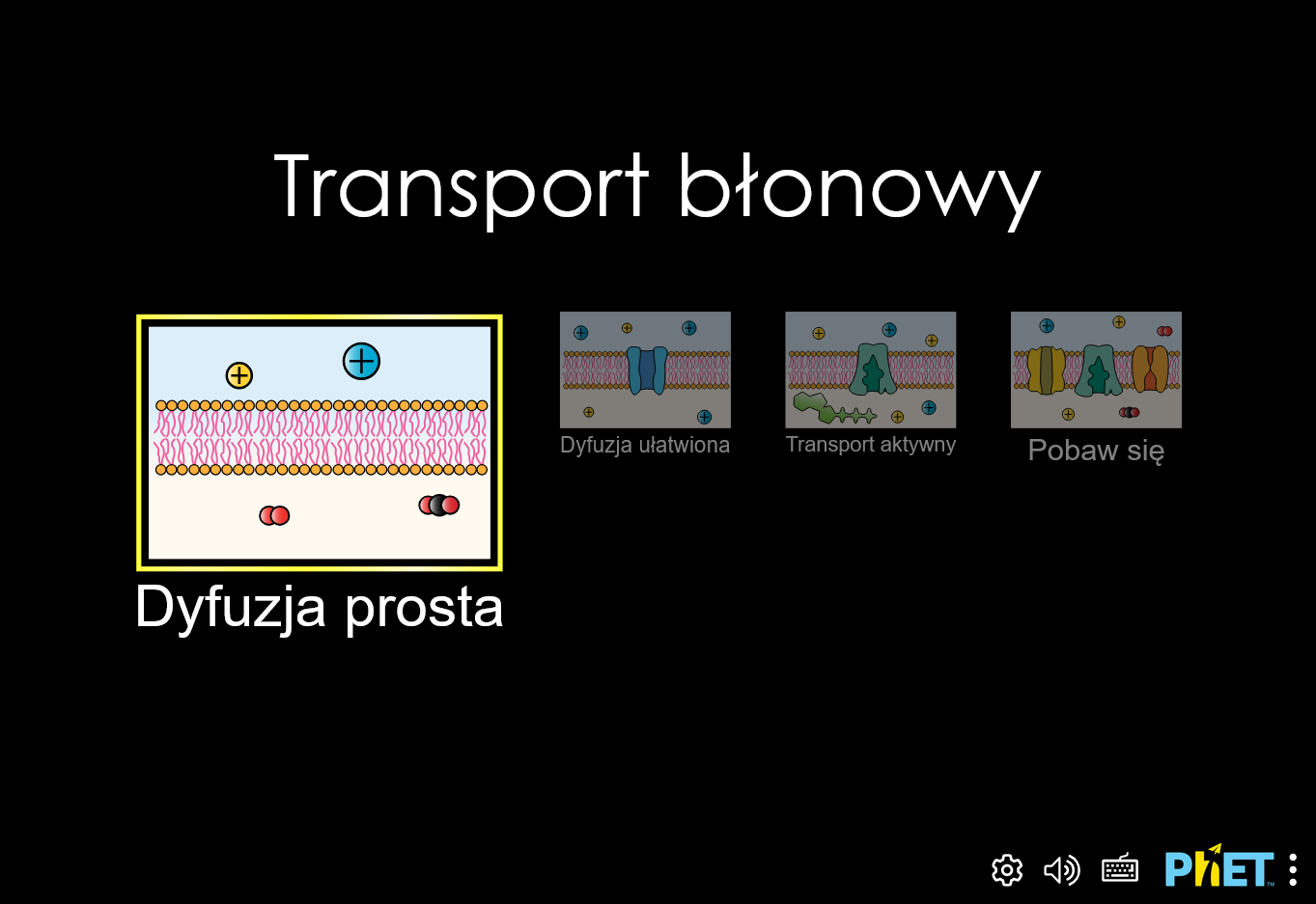 membrane-transport